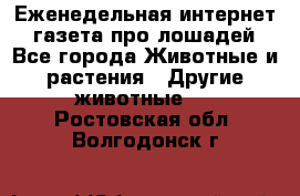 Еженедельная интернет - газета про лошадей - Все города Животные и растения » Другие животные   . Ростовская обл.,Волгодонск г.